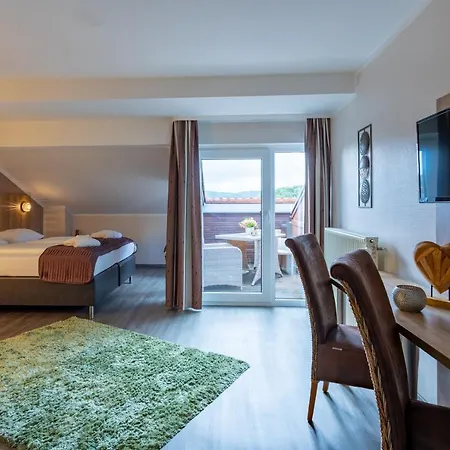 Rhön Hotel 3*