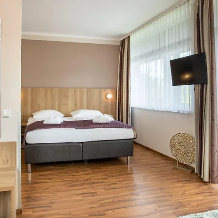 Rhoen Hotel 3*