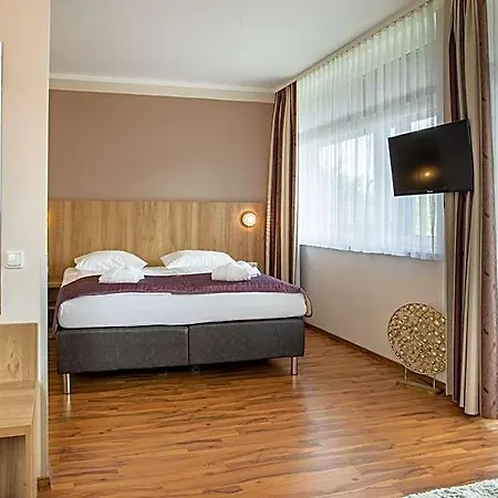 Rhoen Hotel 3*