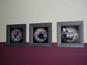 Rhön 3* Dipperz